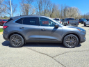Thumbnail image of 2021 Ford Escape Hybrid at Hines Park Ford