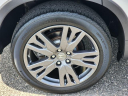 Thumbnail image of 2022 Honda Pilot at Honda Universe