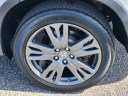 Thumbnail image of 2022 Honda Pilot at Honda Universe
