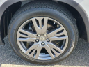 Thumbnail image of 2022 Honda Pilot at Honda Universe