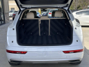 Thumbnail image of 2019 Audi Q5 at POWELL PERFORMANCE AUTOS