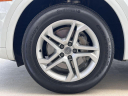 Thumbnail image of 2019 Audi Q5 at POWELL PERFORMANCE AUTOS