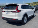 Thumbnail image of 2024 Honda CR-V at Rusty Wallace Ford