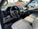 Thumbnail image of 2019 Ford F-150 at Miami Luxury Motors