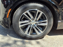 Thumbnail image of 2024 Cadillac LYRIQ at Sewell Cadillac Of San Antonio
