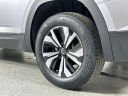 Thumbnail image of 2025 Volkswagen Atlas at Autobahn Volkswagen Fort Worth