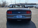 Thumbnail image of 2022 Ford Mustang at Honda Of Toms River