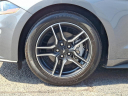 Thumbnail image of 2022 Ford Mustang at Honda Of Toms River