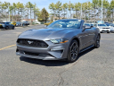 Thumbnail image of 2022 Ford Mustang at Honda Of Toms River