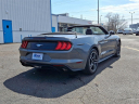 Thumbnail image of 2022 Ford Mustang at Honda Of Toms River