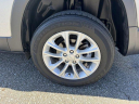 Thumbnail image of 2020 Jeep Cherokee at New - Shottenkirk Chrysler Dodge Jeep Ram
