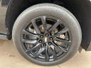 Thumbnail image of 2021 Cadillac Escalade at Wilson Auto Family