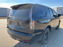 Thumbnail image of 2021 Cadillac Escalade at Wilson Auto Family