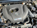 Thumbnail image of 2024 Mazda CX-50 at PiazzaMazdaReading - New