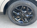Thumbnail image of 2024 Kia Soul at Mike Calvert Toyota - New