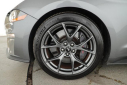 Thumbnail image of 2022 Ford Mustang at Bluebonnet Super Center - USED