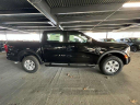 Thumbnail image of 2024 Ford Ranger at Wayne Ford