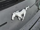 Thumbnail image of 2022 Ford Mustang at McDonald Kia