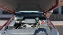Thumbnail image of 2019 Ram 1500 at Bison Motor Company