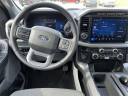 Thumbnail image of 2024 Ford F-150 at RoyOBrienFordUSED of St. Clair Shores, MI
