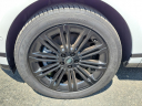 Thumbnail image of 2024 Land Rover Range Rover Evoque at Piazza Jaguar Land Rover Willow Grove