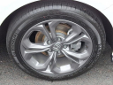Thumbnail image of 2024 Honda Accord at J L Freed Honda (Used)