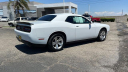 Thumbnail image of 2023 Dodge Challenger at Jeep Chrysler Dodge of Ontario - Used