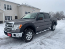 Thumbnail image of 2013 Ford F-150 at SOUTHERN SELECT AUTO SALES
