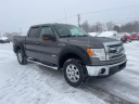 Thumbnail image of 2013 Ford F-150 at SOUTHERN SELECT AUTO SALES