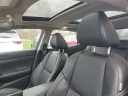 Thumbnail image of 2023 Nissan Maxima at Grand Blanc Nissan