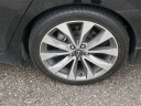 Thumbnail image of 2023 Nissan Maxima at Grand Blanc Nissan