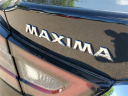Thumbnail image of 2023 Nissan Maxima at Grand Blanc Nissan