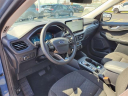Thumbnail image of 2023 Ford Escape at Avis Ford
