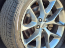Thumbnail image of 2022 Dodge Challenger at Lindsay Buick Gmc Of Warrenton