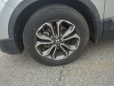 Thumbnail image of 2022 Honda CR-V at Phil Hughes Honda - Used