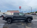 Thumbnail image of 2024 Toyota Tacoma at SOUTHEASTERN CAR & TRUCK RENTALS