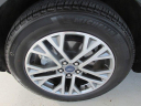 Thumbnail image of 2021 Ford Escape at Dunphy Ford - NEW