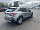 Thumbnail image of 2022 Ford Escape at GengrasFordLincoln NEW