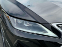 Thumbnail image of 2022 Lexus RX 350 at Lexus of Freeport