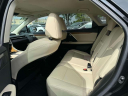 Thumbnail image of 2022 Lexus RX 350 at Lexus of Freeport