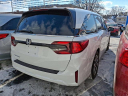 Thumbnail image of 2025 Honda Odyssey at Martin Main Line Honda USED