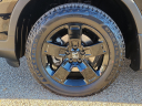 Thumbnail image of 2017 Honda Ridgeline at Frank Brown Honda GMC