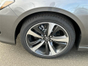 Thumbnail image of 2025 Acura TLX at Acura Of Berlin
