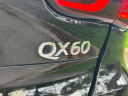 Thumbnail image of 2019 INFINITI QX60 at Kendall Dodge Chrysler Jeep Ram