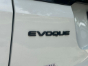 Thumbnail image of 2024 Land Rover Range Rover Evoque at Kendall Dodge Chrysler Jeep Ram