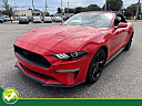 Thumbnail image of 2020 Ford Mustang at 5 STAR AUTO SALES INC