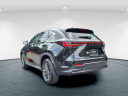 Thumbnail image of 2023 Lexus NX 350 at Ray Catena Lexus Freehold Nj
