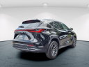 Thumbnail image of 2023 Lexus NX 350 at Ray Catena Lexus Freehold Nj