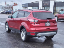 Thumbnail image of 2018 Ford Escape at Serra Buick Gmc Champaign