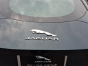 Thumbnail image of 2022 Jaguar F-TYPE at Piazza Jaguar Land Rover Willow Grove
